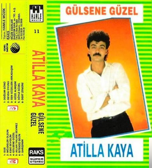Gülsene Güzel (1988)