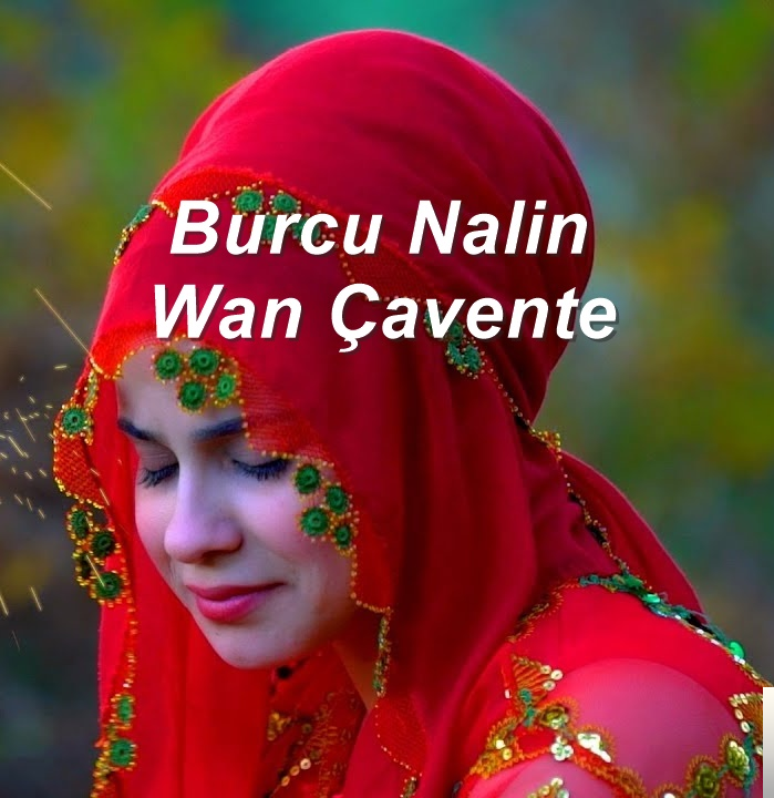 Wan Çavente (2018)