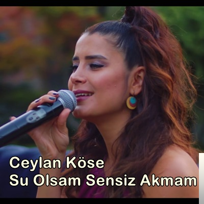 Su Olsam Sensiz Akmam (2019)