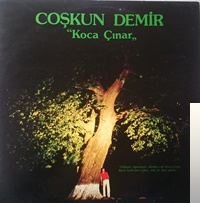 Koca Çınar (1982)