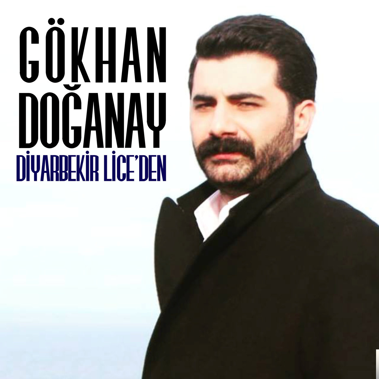 Diyarbekir Lice'den (2019) 