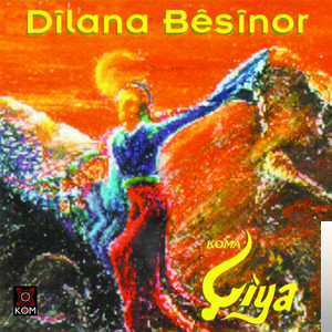Dilana Besinor (2003)