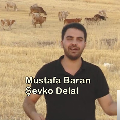 Şevko Delal (2019)