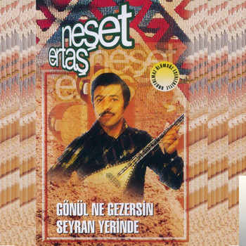 Gönül Ne Gezersin Seyran Yerinde (1988)