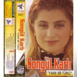 Yanık Bir Türkü (1995)