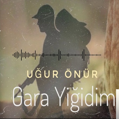 Gara Yiğidim (2019)