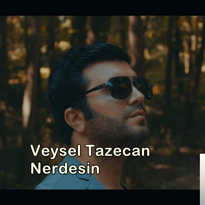 Nerdesin (2019)