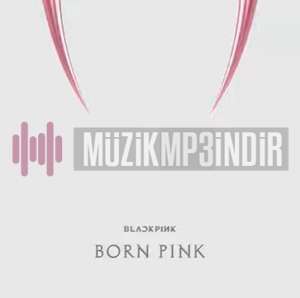 BORN PINK (2022)