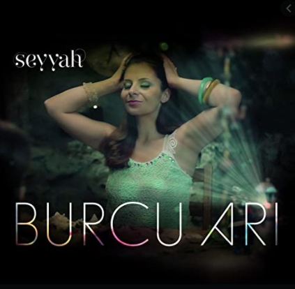 Seyyah (2013)