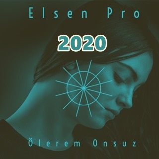 Elsen Pro (2020)