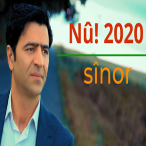Sinor (2020)