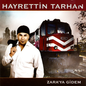 Zara'ya Gidem (2008)