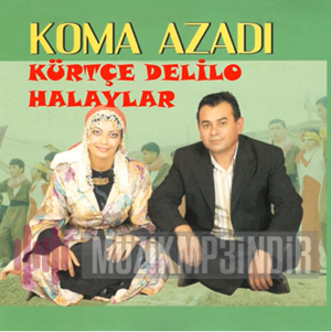 Kürtçe Delilo Halaylar (2015)