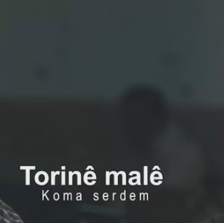Torine Male (2020)