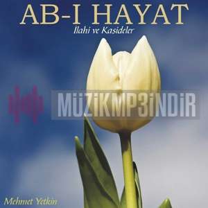 Ab-ı Hayat (2013)