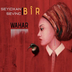 Wahar (2020)