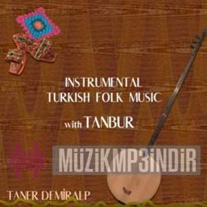 Instrumental Turkish Folk Music With Tanbur (2022)