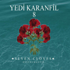Yedi Karanfil 8 (2007)