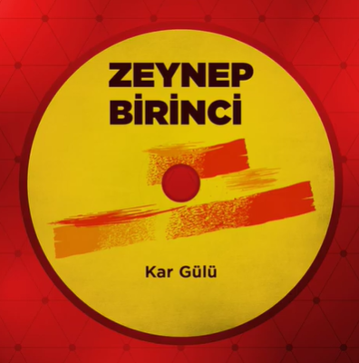 Kar Gülü (2009)
